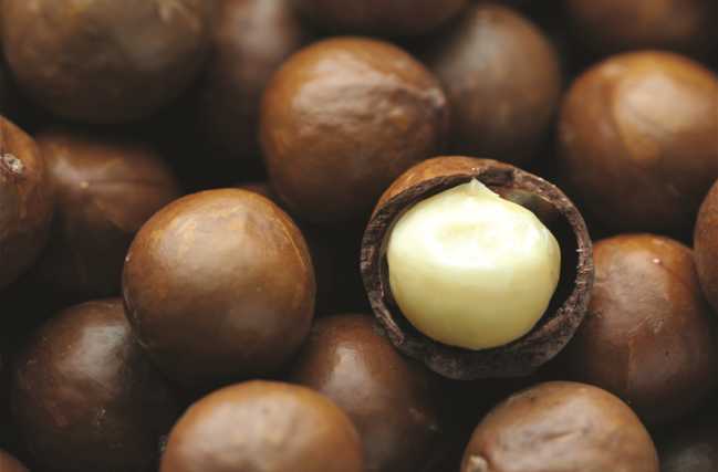 Dürfen wir vorstellen: Die hochwohlgeborene Macadamia, Königin der Nüsse