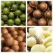 Macadamia Nuss