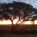 AUstralien_Sonnenuntergang_Outback_Josefin