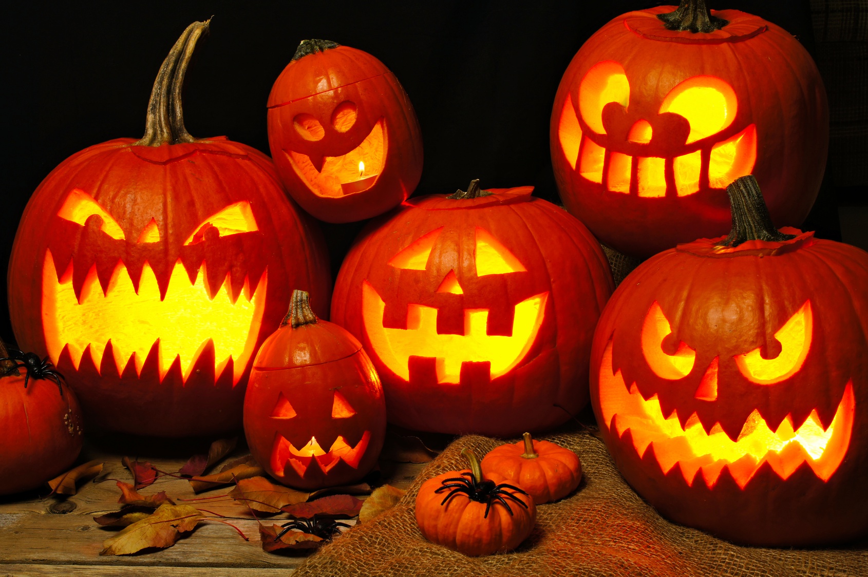 Halloween in Down Under - Australian Macadamias Deutschland Blog  Australian Macadamias 