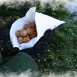 Der Duft frisch gebrannter Macadamias liegt in der Luft