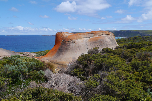 Kangaroo Island: Die wilde Insel im Süden Australiens