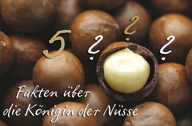 Schon gewusst? 5 Fakten über die Australische Macadamia!