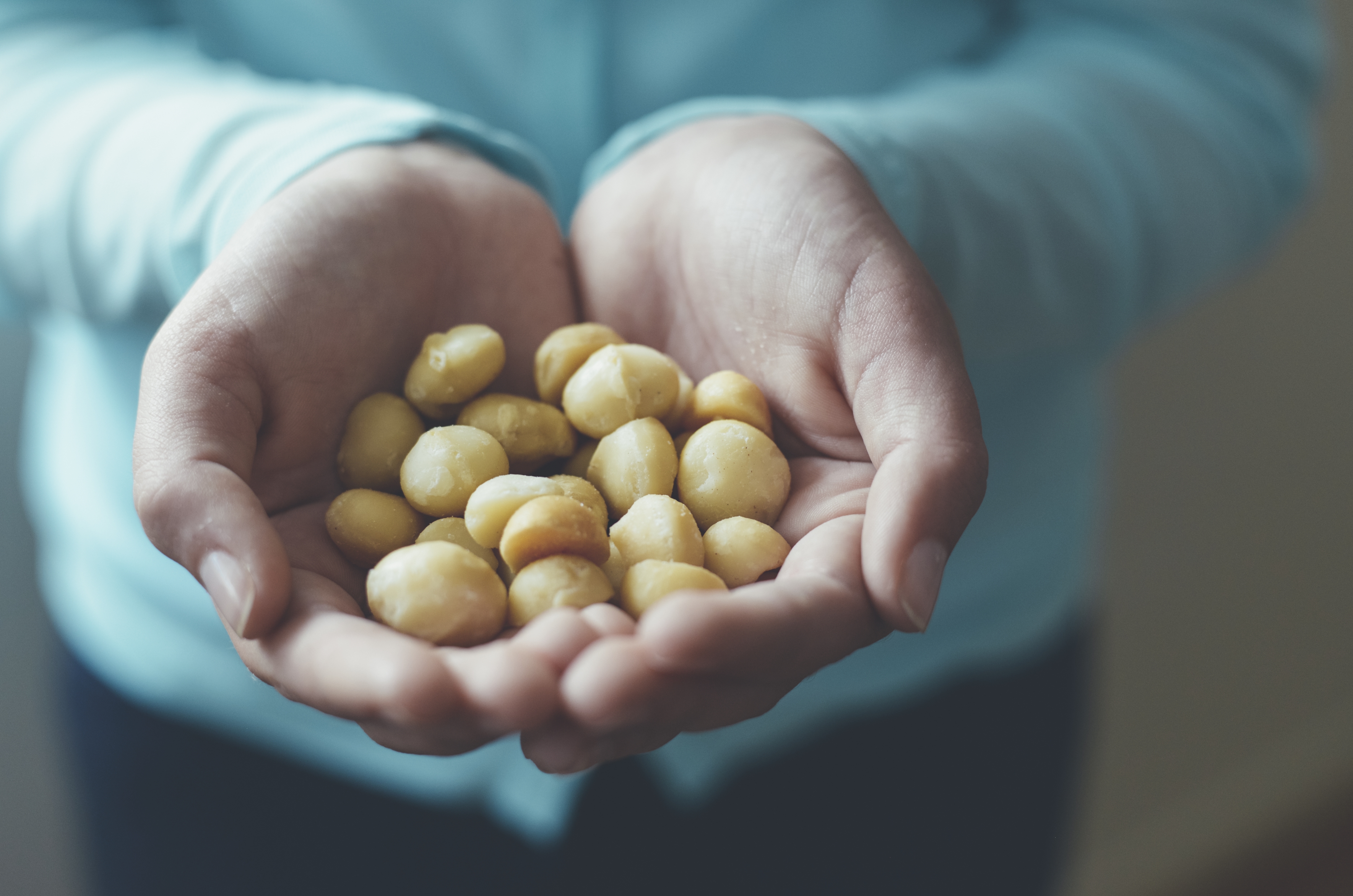 Tag der Vegetarier: Die Macadamia feiert mit!