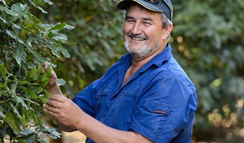 Macadamia Insights: Unser Farmer Andrew Wallis