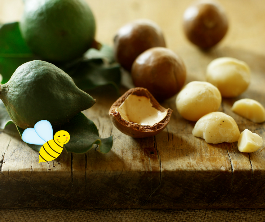 Nachhaltigkeit: Happy Bees und Macadamias