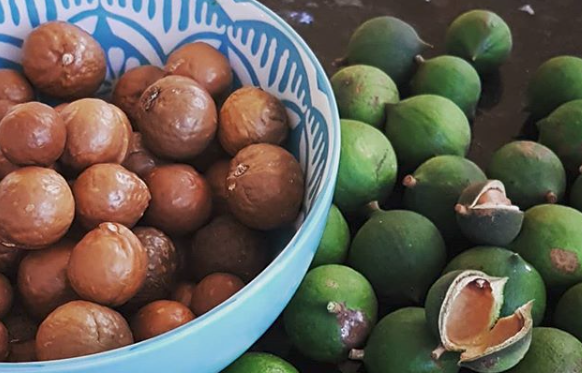 Healthy Habits: Clean Eating mit Macadamias