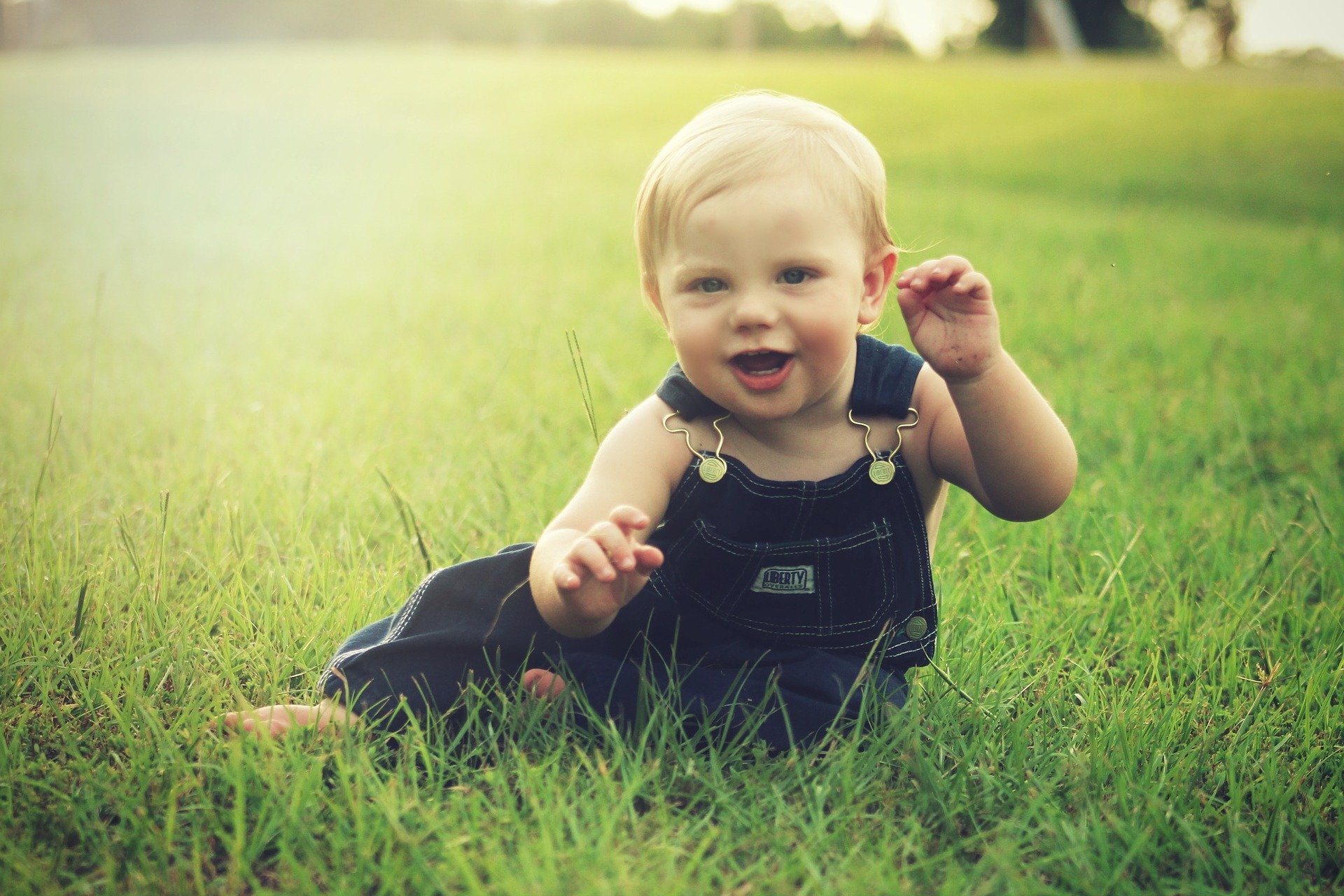 Eine Innovation für Babynahrung mit Macadamias